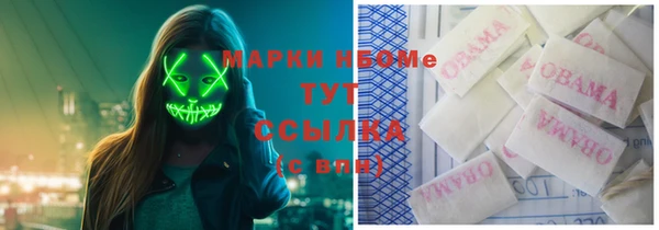 спиды Богородицк