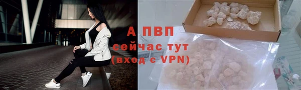 экстази Богданович