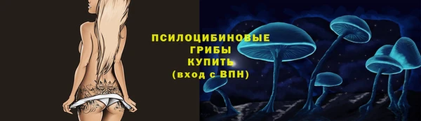 спиды Богородицк