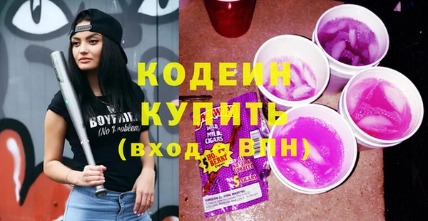 спиды Богородицк