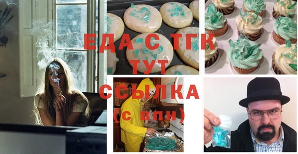 спиды Богородицк